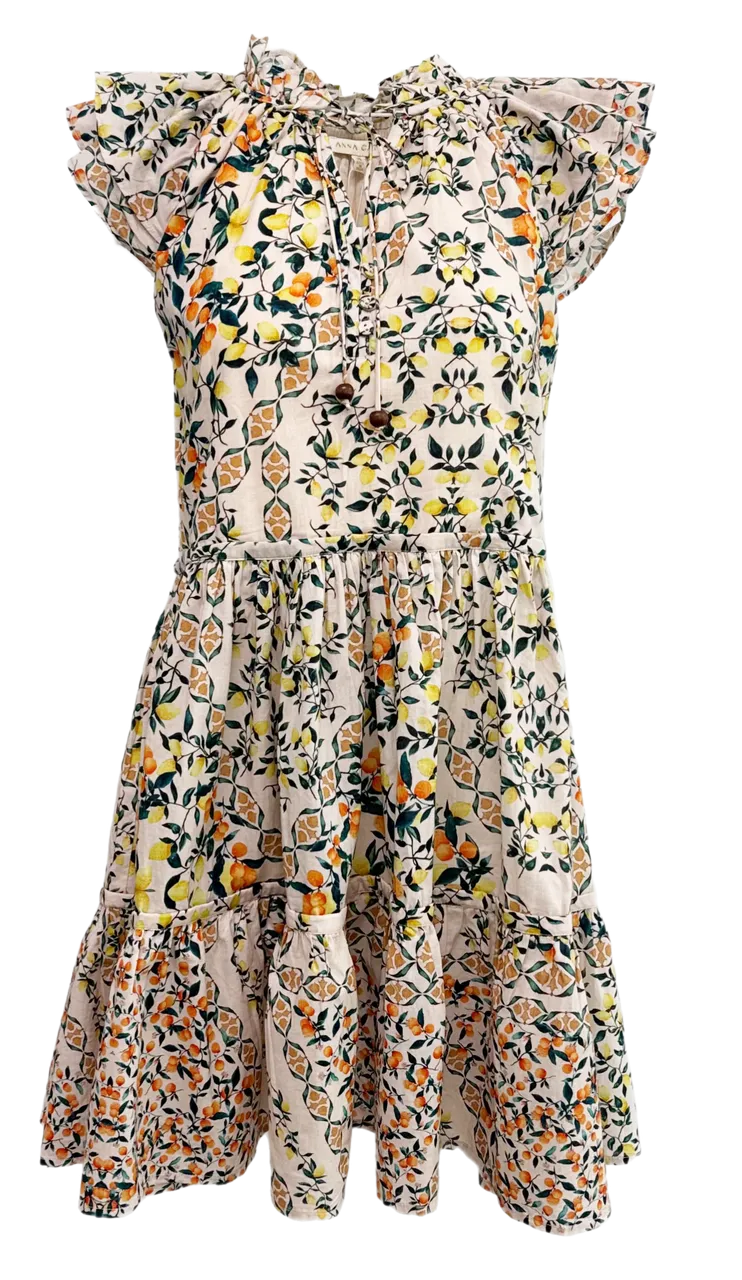 Anna Cate Amiee Dress - Amalfi