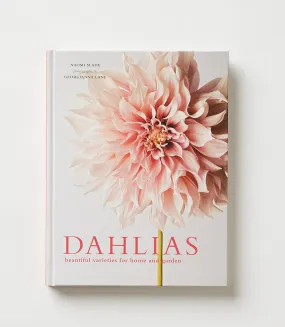 Dahlias