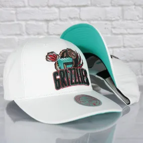 Memphis Grizzlies NBA Hardwood Classics All in Pro Teal Bottom | White Snapback Hat