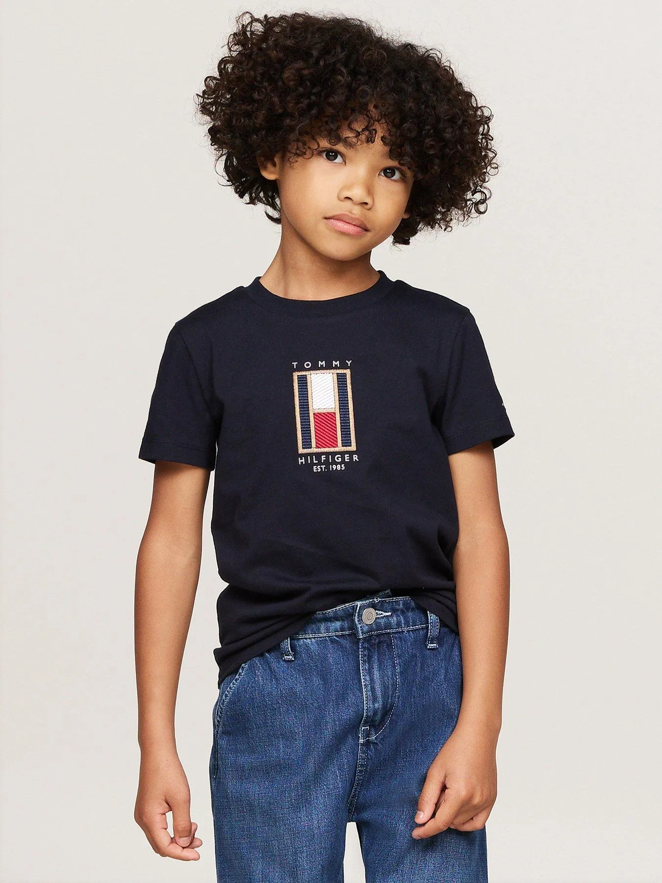 Tommy Hilfiger Boys Flag Embroidered Reg Short Sleeve T-shirt - Navy