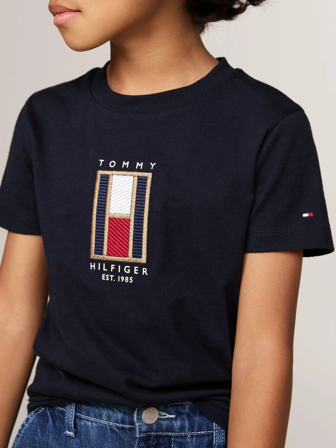 Tommy Hilfiger Boys Flag Embroidered Reg Short Sleeve T-shirt - Navy