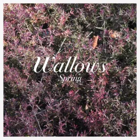 WALLOWS 'SPRING' LP (Pink & Green Vinyl)